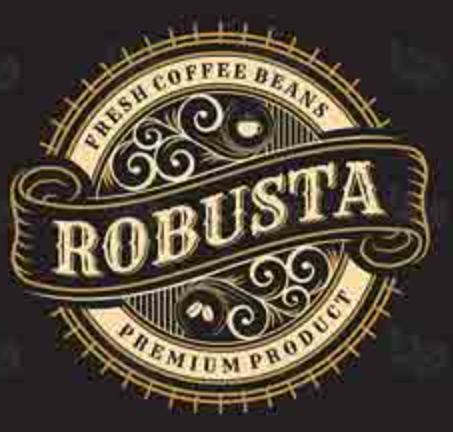 روبوستا ویتنام اسکرین 18