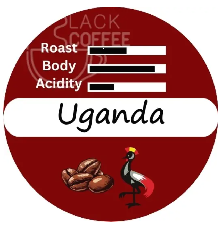 اوگاندا اسکرین 18